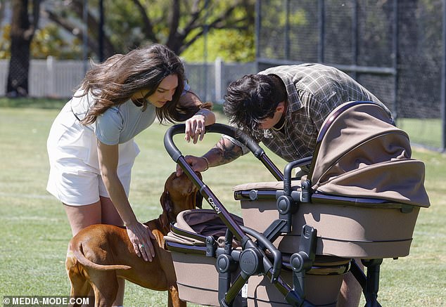 أظهر الكلب سول الكثير من الفضول حول أفراد الأسرة الجدد