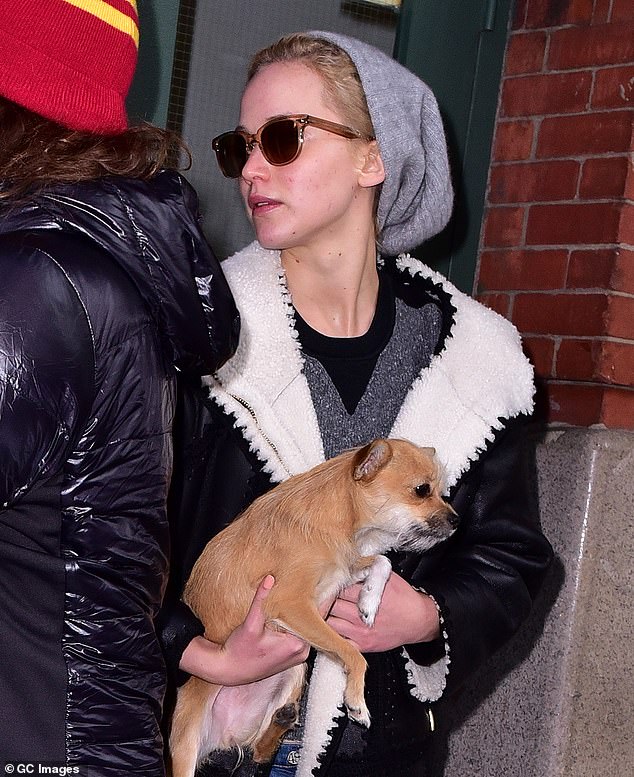 تم تصوير الممثلة الحائزة على جائزة الأوسكار في نيويورك مع كلبتها الأميرة بيبي لونجستوكينج