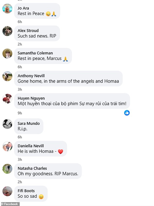 وتدفقت التعازي للنجم على صفحة المعجبين بالفيسبوك