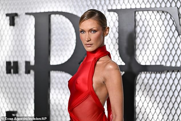 بدت خديها منحوتتين بشكل مثالي ومزينة بمجوهرات فضية أنيقة