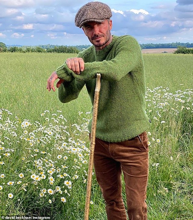 على الرغم من الاعتراضات القوية والجيران الذين يزعمون أنه يجب إيقاف العرض لأنه سيؤثر على المتجولين الذين يجب أن 