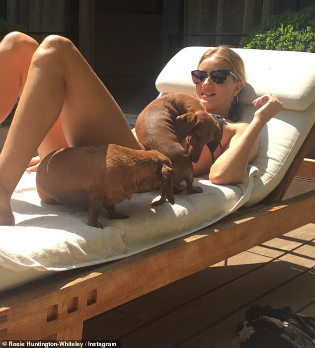 وفي لقطات أخرى نُشرت في قصتها، شوهدت روزي وهي تستمتع بأشعة الشمس أثناء جلوسها على كرسي استلقاء مع كلبين.