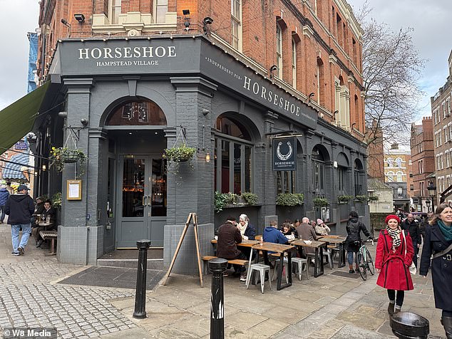 استقبل ويليامز الضيوف في مسرح سيركل آند ستار، فوق حانة هورسشو في هامبستيد (في الصورة)