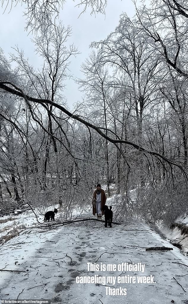 بعد ذلك، كشفت نجمة هيلز أنها لم تكن فقط بدون كهرباء، ولكن سيكون من الصعب على أي شخص أن يأتي أو يذهب بسبب فرع شجرة كبير سقط عبر ممر منزلها
