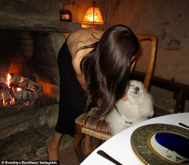 وشوهدت الممثلة وهي تثير ضجة حول كلبها الأليف في صورة أخرى تم نشرها عبر وسائل التواصل الاجتماعي