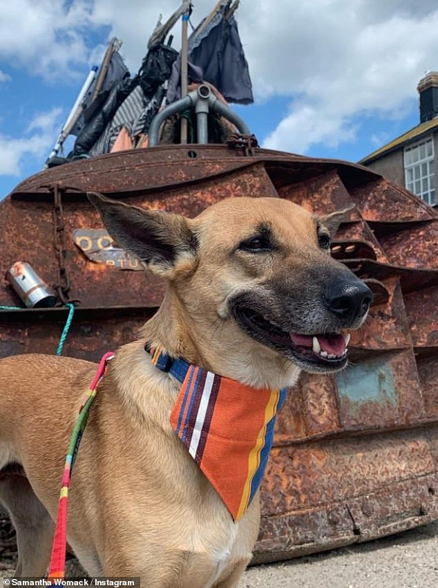 بعد وقت قصير من وفاة لولا المأساوية في عام 2022، أشادت العارضة بها في منشور جميل على Instagram حيث نشرت مجموعة من الصور مع كلبها.