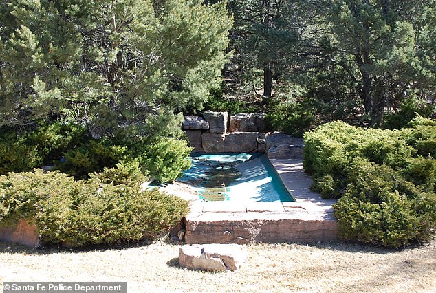 كانت البركة فارغة وكانت الشجيرات متضخمة