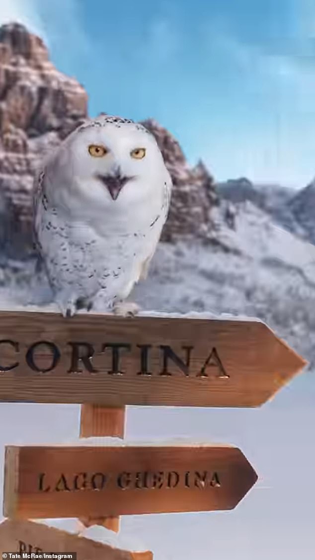 واصلت تيت مشاركة الأحداث التي كانت أكثر حماسًا لها مع بومة بيضاء ثلجية تطفو فوق لافتة