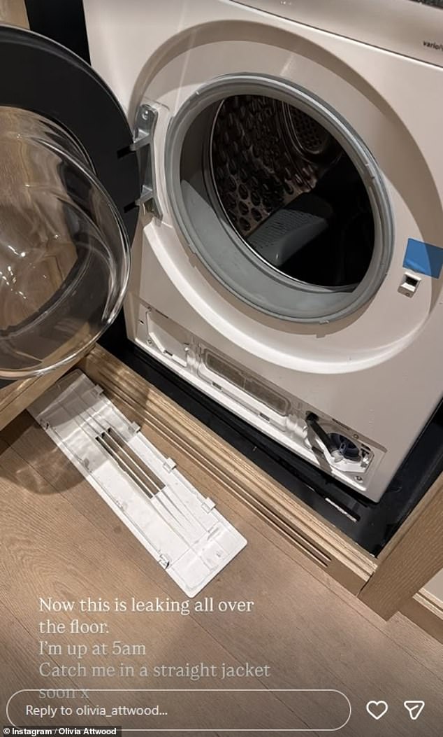 منذ الانفصال، اعترفت أوليفيا بأنها ألقت بنفسها في العمل، لكن النجمة أخبرت متابعيها الآن أن غسالتها تعطلت.