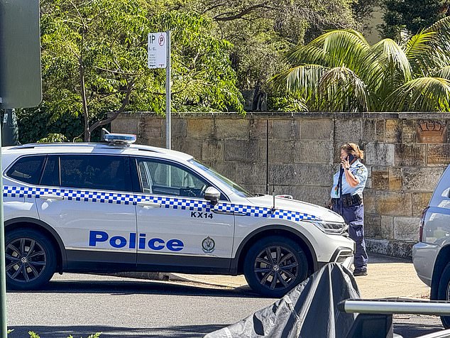 وبحسب ما ورد تصاعدت التوترات خلال الأسبوع الماضي عندما قام أحد الجيران بالانتقام وبدأ في إطلاق بوق من الفناء الخلفي لمنزلهم احتجاجًا