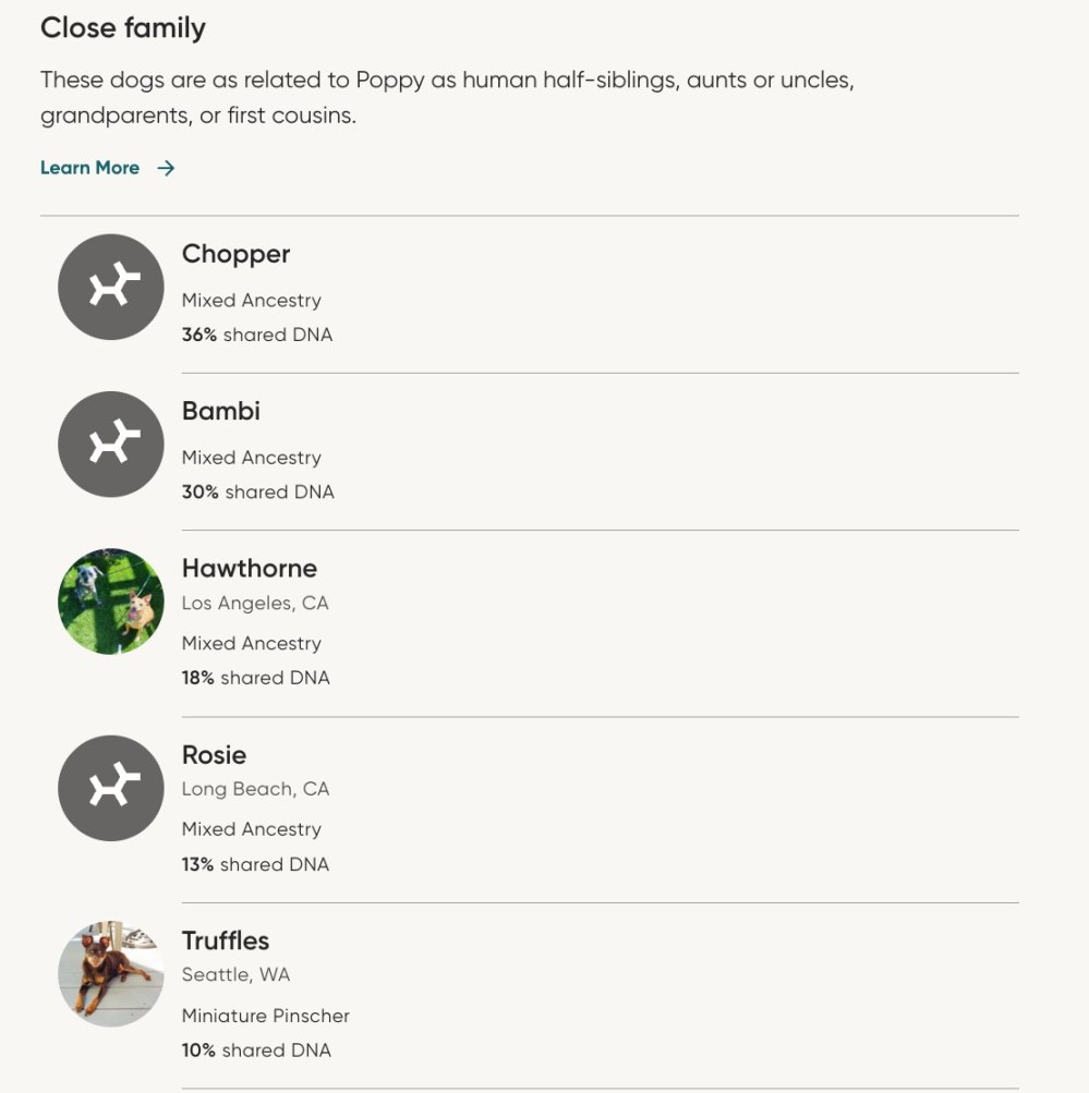 الخشخاش-العائلة-الشروع-DNA-اختبار